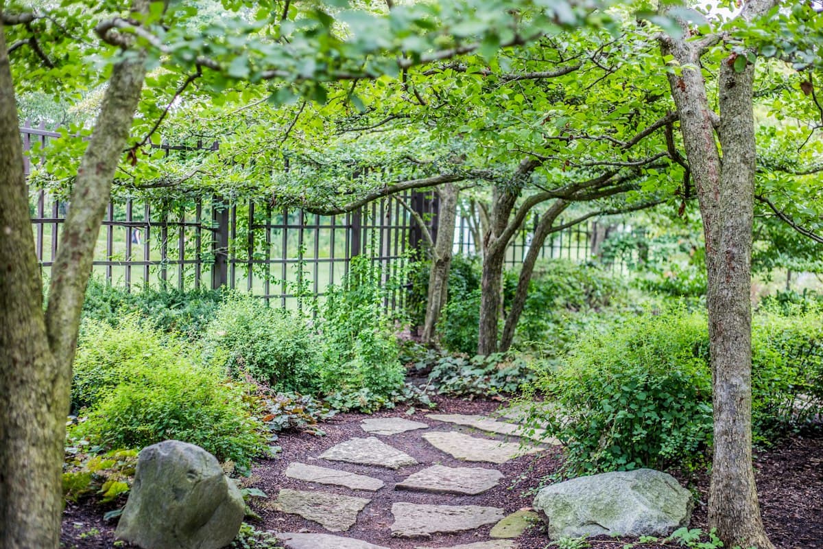 Caminho em pedra a atravessar um jardim com vegetação