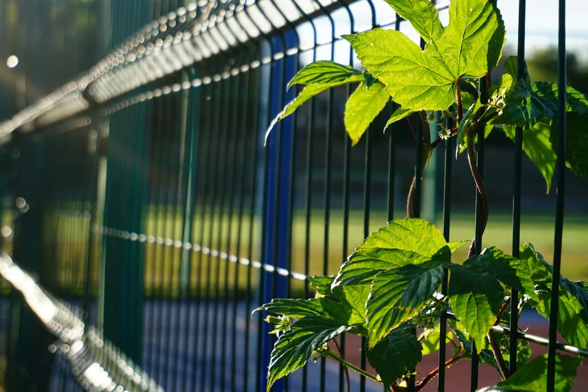 Vedação metálica de painel com vegetação a crescer junto